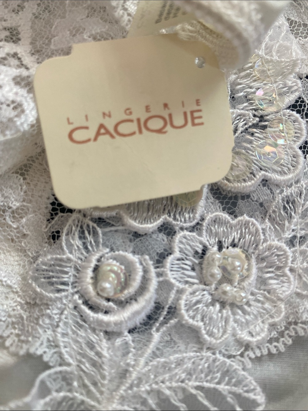 Cacique White Lace panties with Beaded Floral Embroidery
